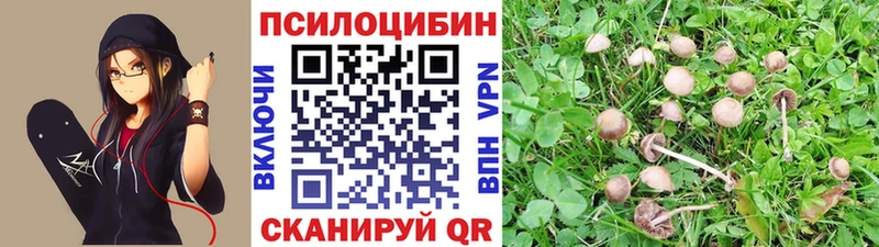 Купить закладки  Заречный  Галлюциногенные грибы прущие грибы 